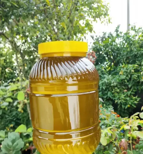 5L Aydın Zeytinyağı Aileniz için. Erken Hasat dizem soğuk sıkım.